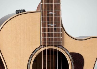 Taylor 50th Anniversary 414ce Special Edition | Redwood Top | Indian Rosewood Body