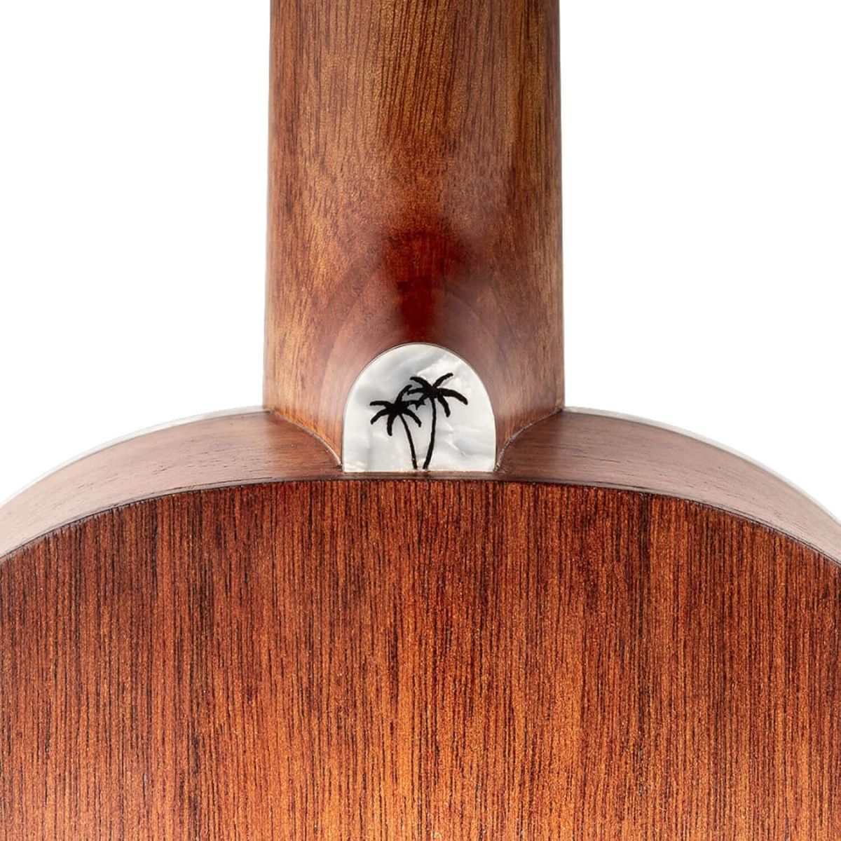 Mahalo MP2E | Concert Ukulele with Pickup | Pearl Series | Sitka Spruce top | Waltons Music Mahalo MP2E | Concert Ukulele with Pickup | Pearl Series | Sitka Spruce top - Image 8