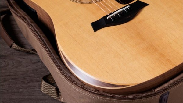 Taylor Academy 10 Dreadnought Acoustic + Gigbag - Image 4