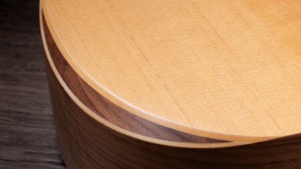 Taylor Academy 10 Dreadnought Acoustic + Gigbag - Image 12