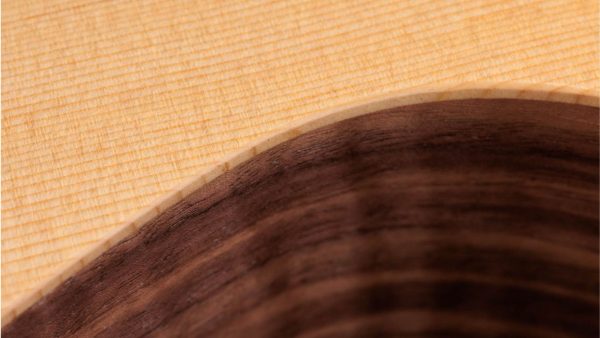 Taylor 12N Nylon String Grand Concert Guitar - Image 4