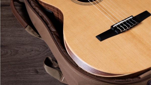 Taylor 12N Nylon String Grand Concert Guitar - Image 2