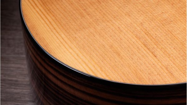 Taylor 214CE Plus | Electro-coustic Guitar - Image 11