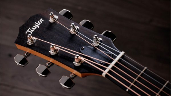 Taylor 214CE Plus | Electro-coustic Guitar - Image 7