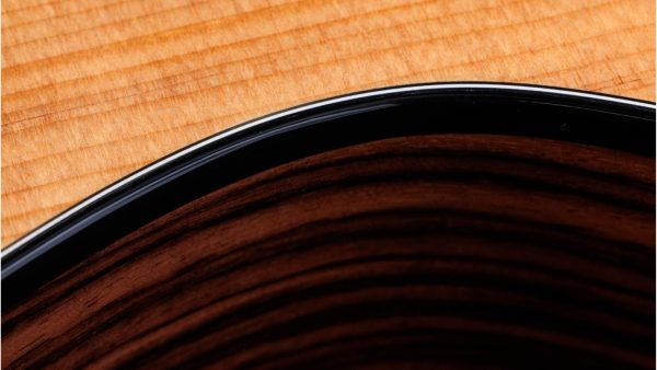 Taylor 214CE Plus | Electro-coustic Guitar - Image 5