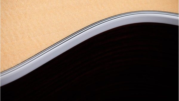 Taylor 414CE Grand Auditorium Elect Acoustic Guitar | Rosewood | Natural - Image 5