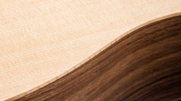 Taylor Baby | Spruce top | Walnut Back and Sides - Image 8