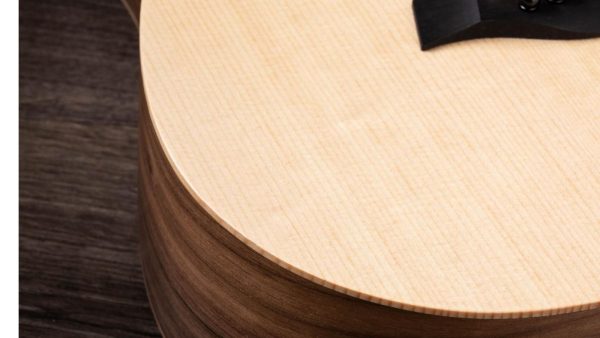 Taylor Baby | Spruce top | Walnut Back and Sides - Image 14