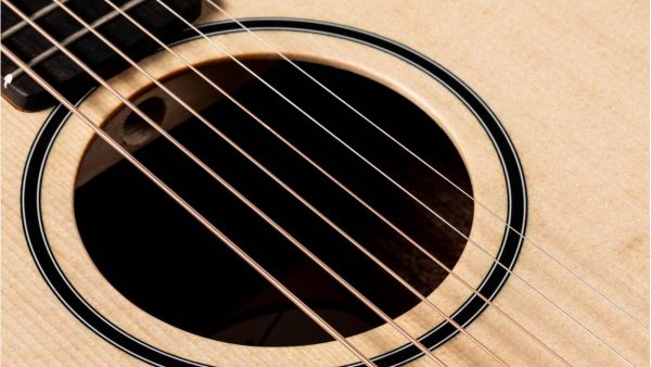 Taylor Baby | Spruce top | Walnut Back and Sides - Image 12