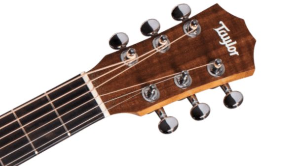Taylor Baby | Spruce top | Walnut Back and Sides - Image 2