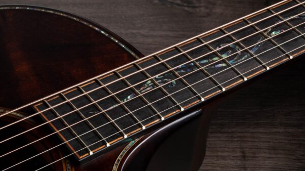 Taylor K24ce | Buider Edition |Grand Auditorium Cutaway