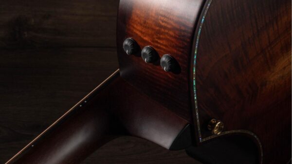 Taylor K24ce | Buider Edition |Grand Auditorium Cutaway
