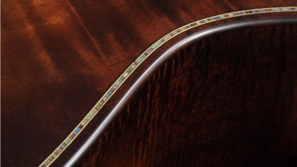 Taylor K24ce | Buider Edition |Grand Auditorium Cutaway