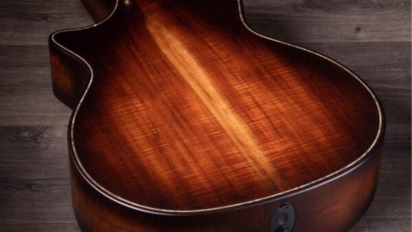 Taylor K24ce | Buider Edition |Grand Auditorium Cutaway