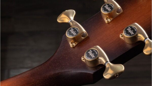 Taylor K24ce | Buider Edition |Grand Auditorium Cutaway