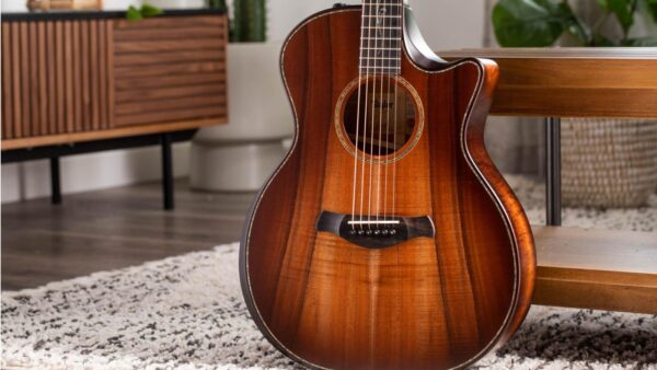 Taylor K24ce | Buider Edition |Grand Auditorium Cutaway