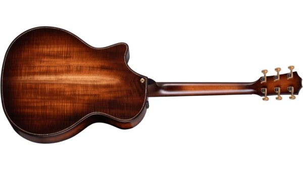 Taylor K24ce | Buider Edition |Grand Auditorium Cutaway