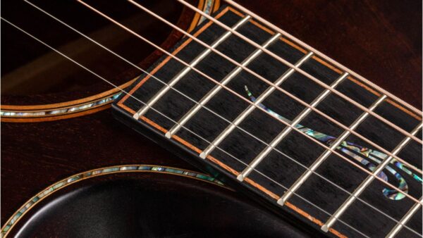 Taylor K24ce | Buider Edition |Grand Auditorium Cutaway