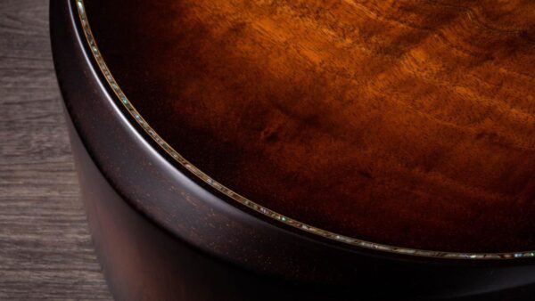 Taylor K24ce | Buider Edition |Grand Auditorium Cutaway