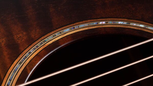 Taylor K24ce | Buider Edition |Grand Auditorium Cutaway