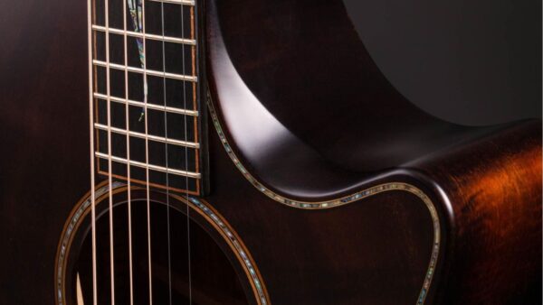 Taylor K24ce | Buider Edition |Grand Auditorium Cutaway