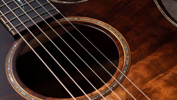 Taylor K24ce | Buider Edition |Grand Auditorium Cutaway