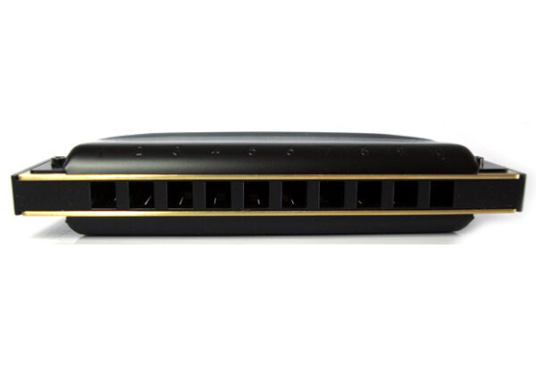 Hohner Pro Harp MS Harmonica | C