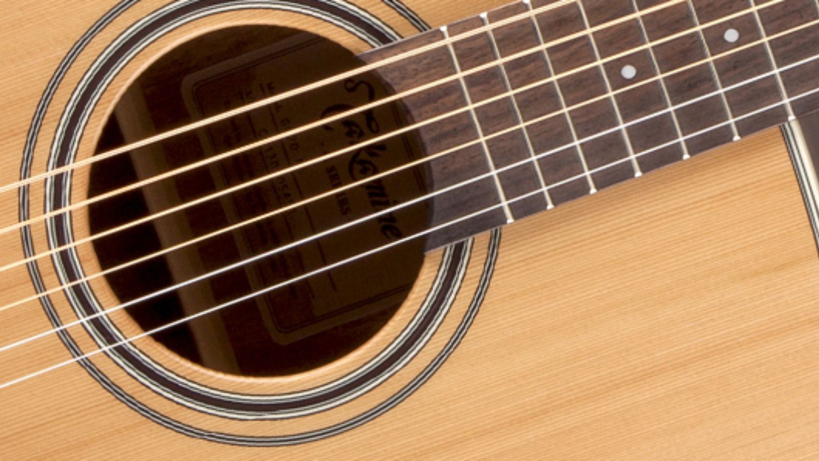 Takamine GD20-NS | Dreadnought Guitar | Natural Satin | Waltons Music Takamine GD20-NS | Dreadnought Guitar | Natural Satin - Image 4