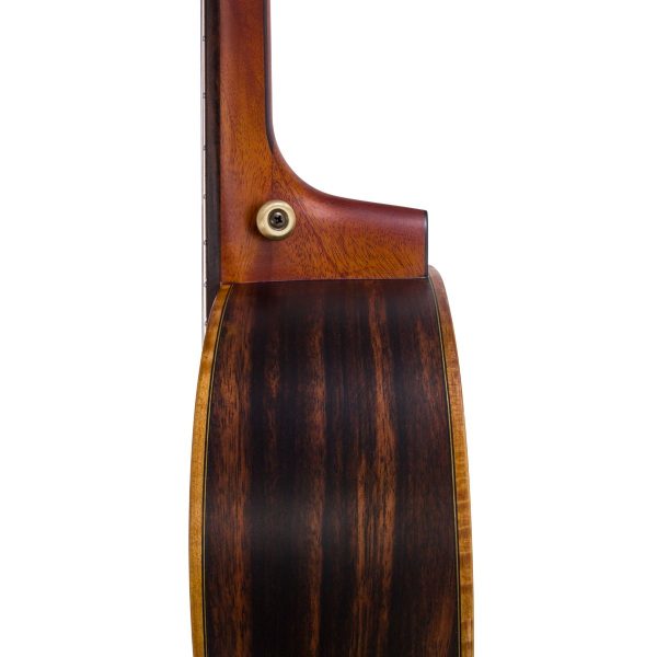 Bromo BAR6 | Rocky Series | Parlor Acoustic Guitar | all Solid | Carry Bag - Image 6
