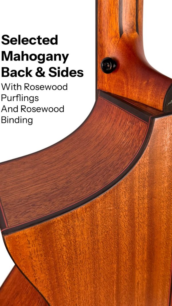 Bromo BAT4MC Tahoma Hillside Auditorium Cutaway |All Mahogany - Image 4