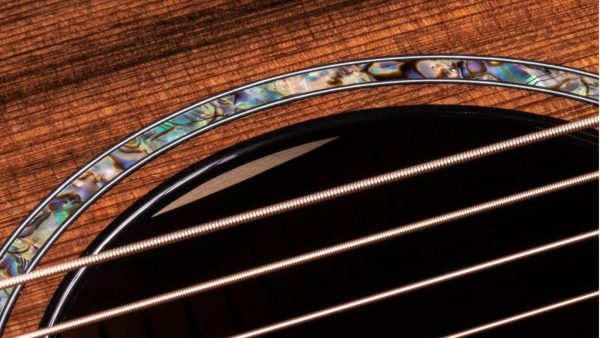 TAYLOR PS12CE | 6-String | Sinker Redwood Top | Honduran Rosewood Back and Sides - Image 13