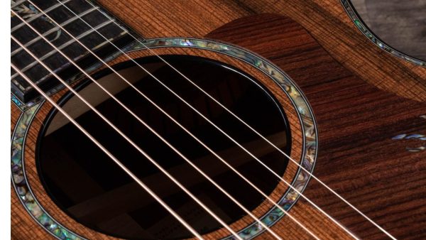 TAYLOR PS12CE | 6-String | Sinker Redwood Top | Honduran Rosewood Back and Sides - Image 11