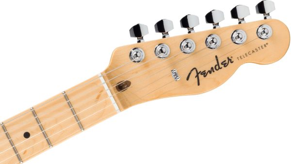 Standard Telecaster®, Maple FB, Black Guard, Butterscotch Blonde - Image 4