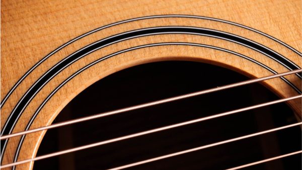 Taylor 414ce | Grand Auditorium | Spruce Top | Rosewood | ES2 | Natural - Image 11
