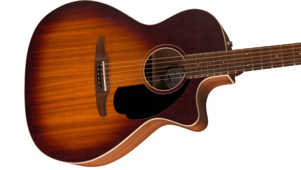Newporter Special | Pau Ferro Fingerboard | Honey Burst - Image 5