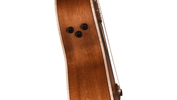 Newporter Special | Pau Ferro Fingerboard | Honey Burst - Image 2