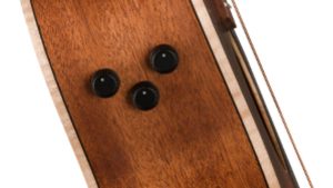Newporter Special | Pau Ferro Fingerboard | Honey Burst