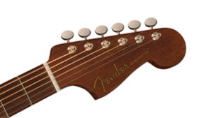 Newporter Special | Pau Ferro Fingerboard | Honey Burst