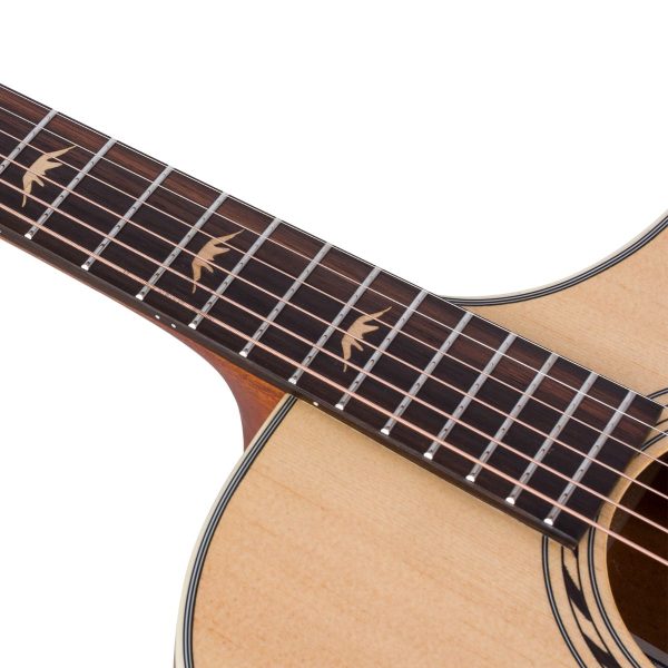 Bromo BAA4CE Appalachian | Electro-Acoustic Auditorium | Spruce top