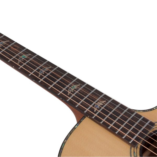 Bromo BAN2ce Danali Acoustic-Electric | Solid top, back and sides | Fishman Pick-up