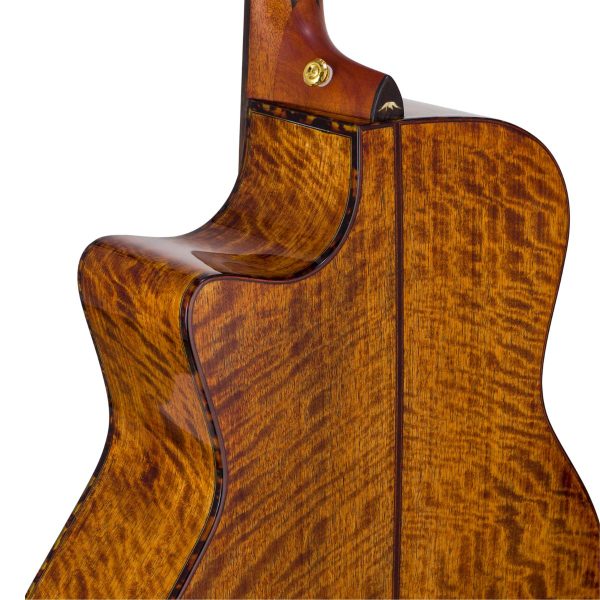 Bromo BAN2ce Danali Acoustic-Electric | Solid top, back and sides | Fishman Pick-up