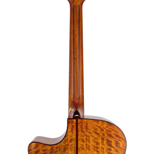 Bromo BAN2ce Danali Acoustic-Electric | Solid top, back and sides | Fishman Pick-up