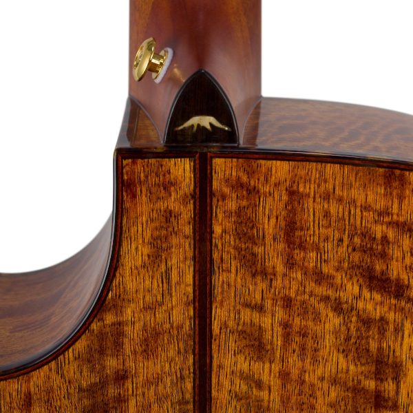 Bromo BAN2ce Danali Acoustic-Electric | Solid top, back and sides | Fishman Pick-up