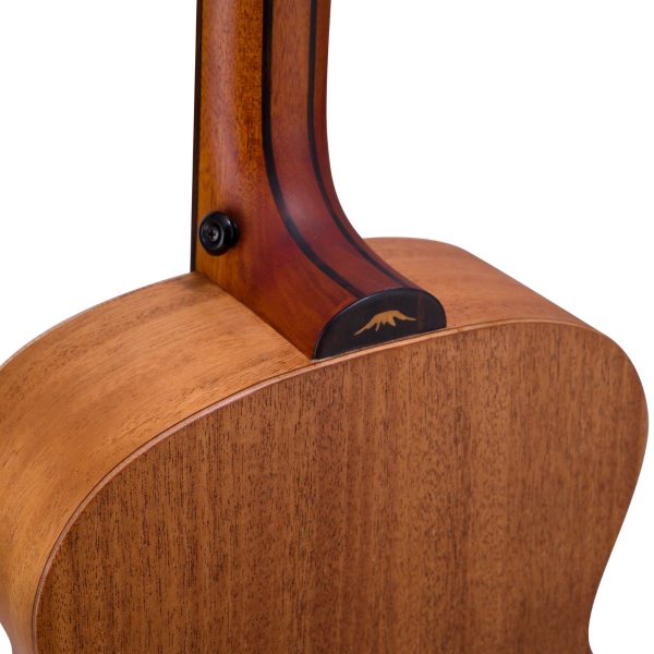 Bromo BAT8EFL |Tahoma Mini Jumbo Fretless Bass | Solid Spruce top