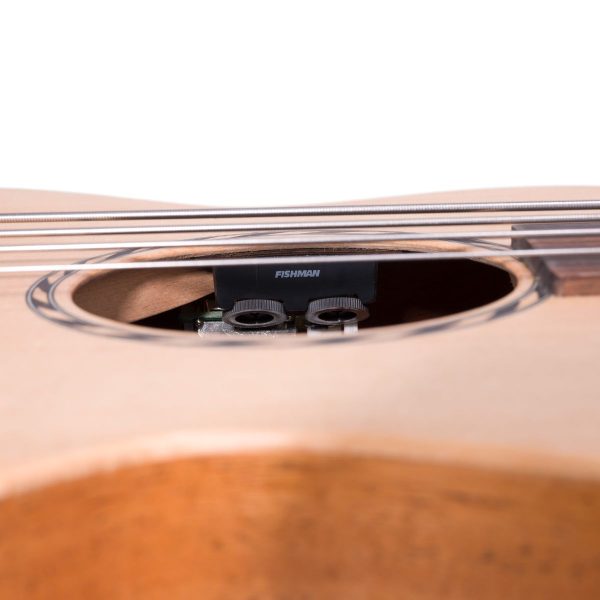 Bromo BAT8EFL |Tahoma Mini Jumbo Fretless Bass | Solid Spruce top