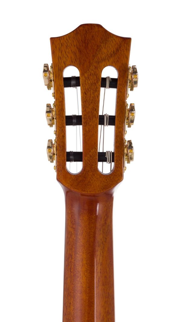 Bromo BEN2CE Nylon String fusion Craft Cutaway  | Natural