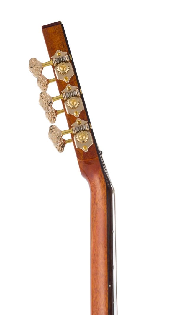 Bromo BEN2CE Nylon String fusion Craft Cutaway  | Natural