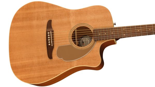 Redondo Player| Walnut FB |Gold Pickguard|  Natural