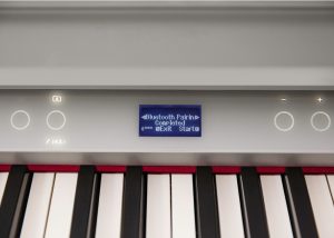 Roland GP-6| Baby Grand style Premium performance Piano | Polished Ebony