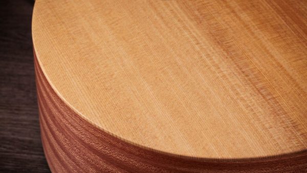 Taylor 14ce Solid Torrefied Spruce top | Sapele Back and sides | Fishman Pick-up - Image 10